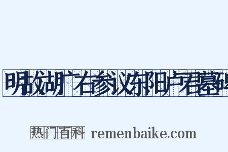 明故湖广右参议东阳卢君墓碑是什么意思的图片